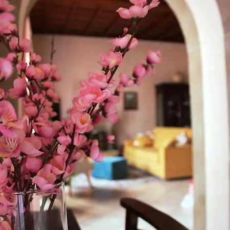 Un Posto Al Centro 公寓 *